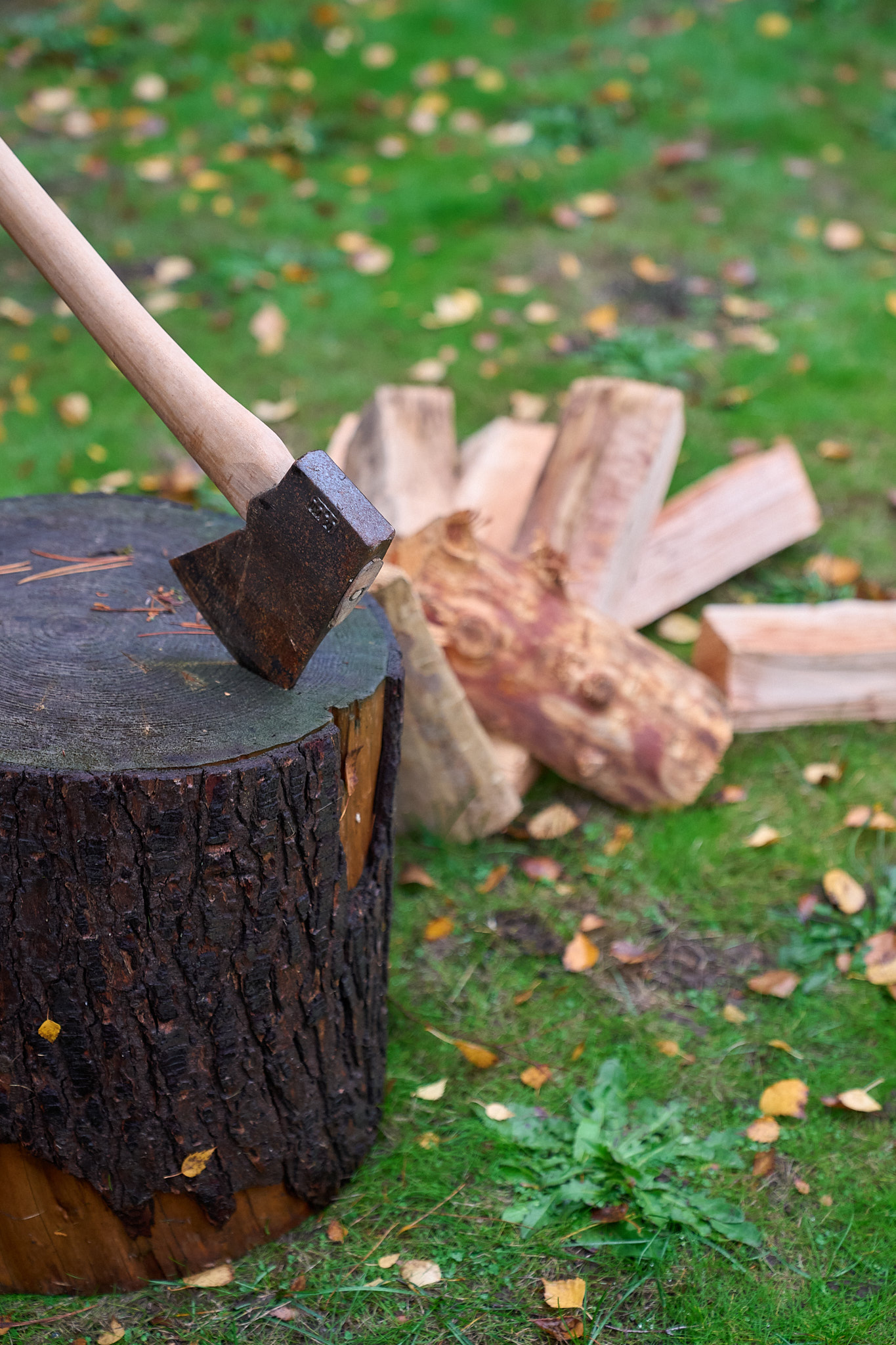 Firelight Sauna facility