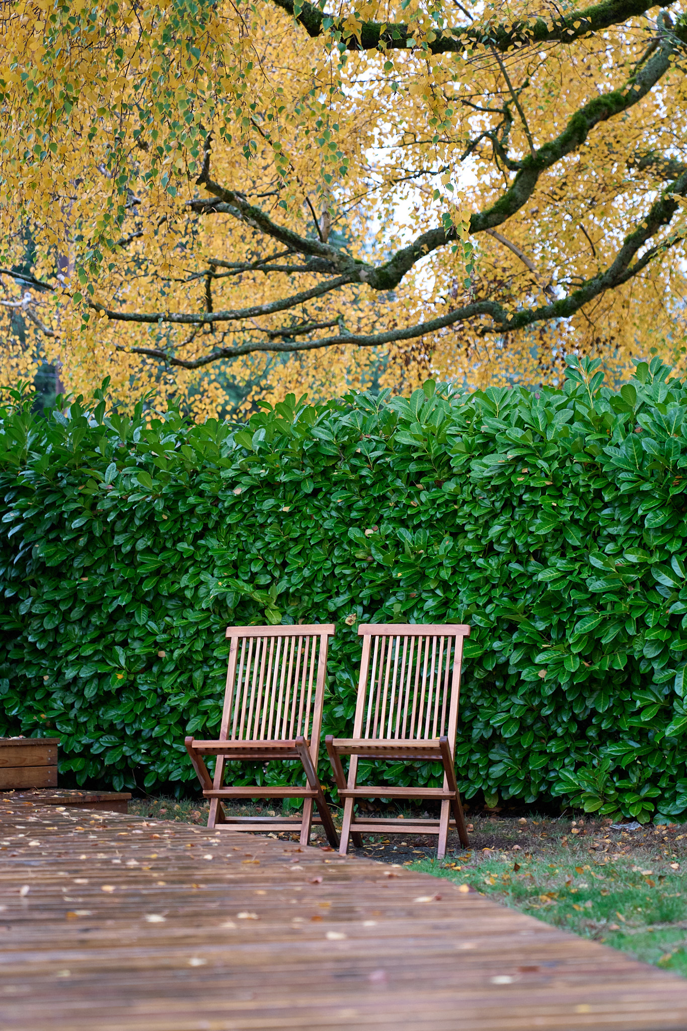 Firelight Sauna facility